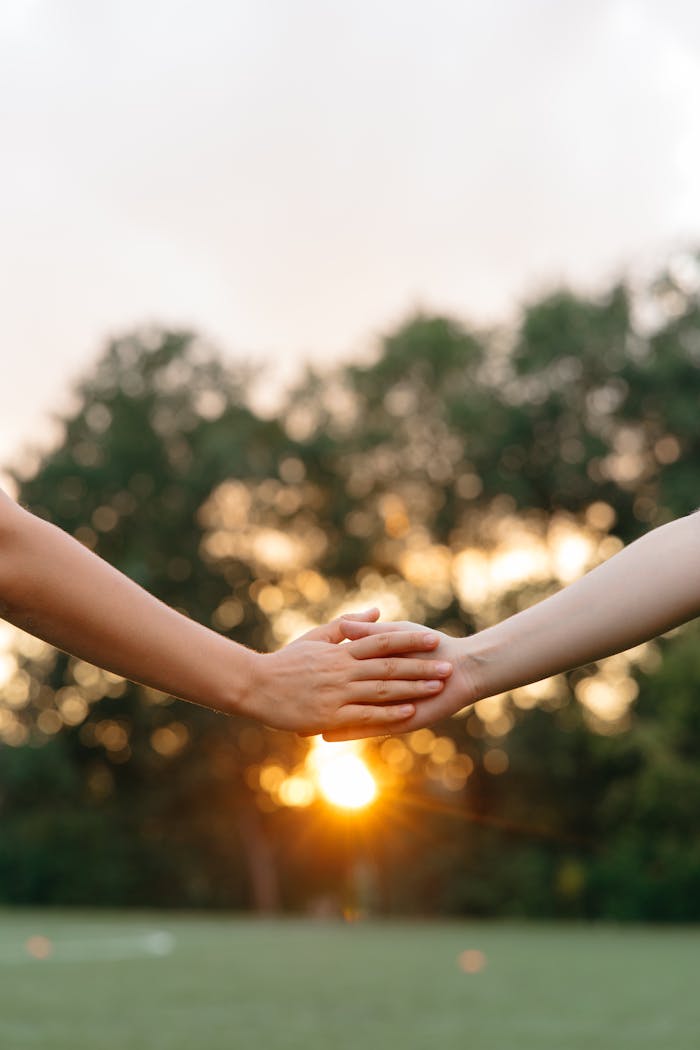 Home Two people holding hands at sunset, a symbol of connection and unity.